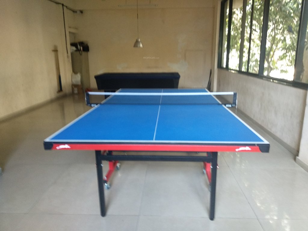  blue meadows Indoor Games