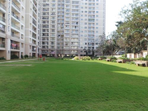  commanders-court Landscape Garden and Tree Planting