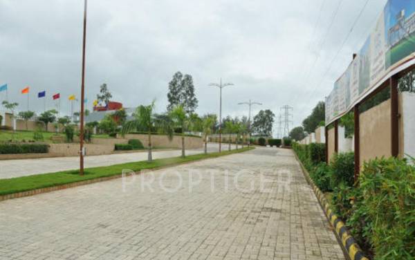 Images for Main Other of Siddhivinayak Groups Vision County