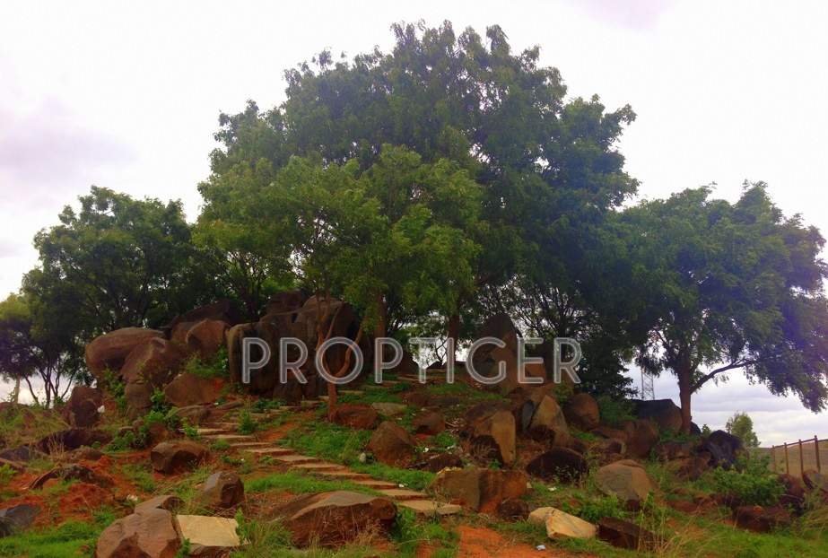 Images for Main Other of JR City