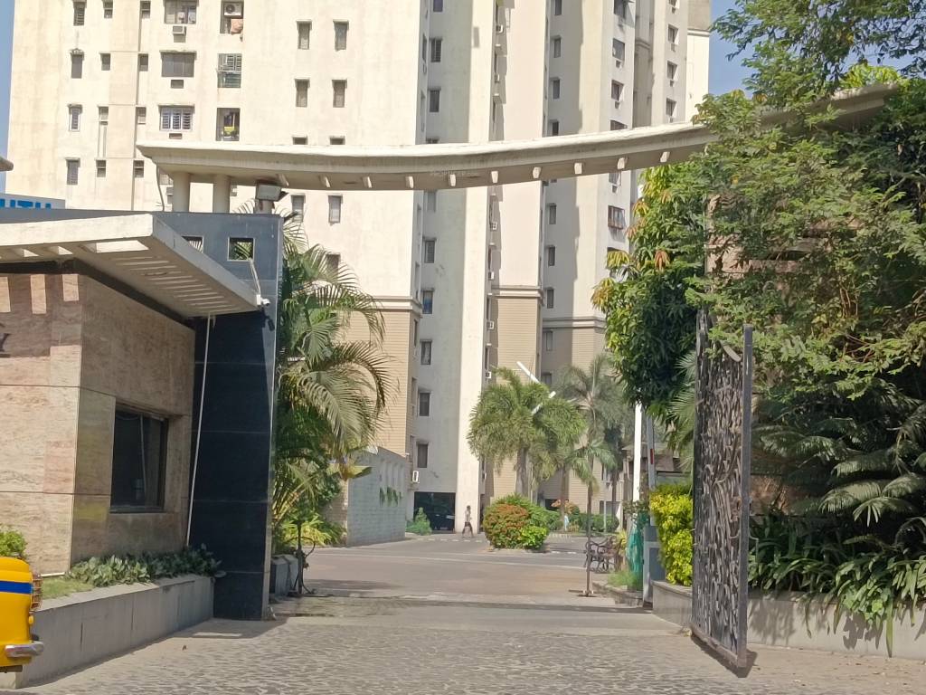  city south Elevation