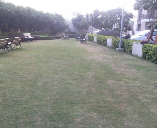  eastern-court Others