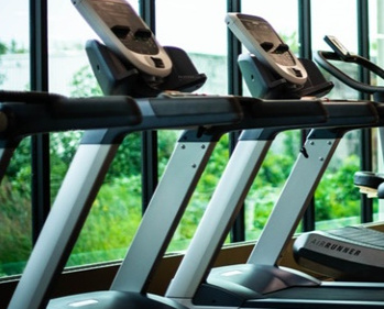 Gymnasium meadows Gymnasium