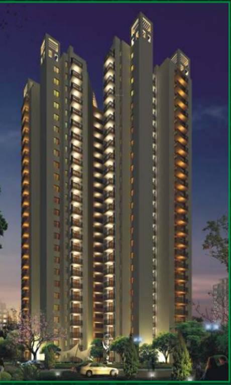 the nest Images for Project