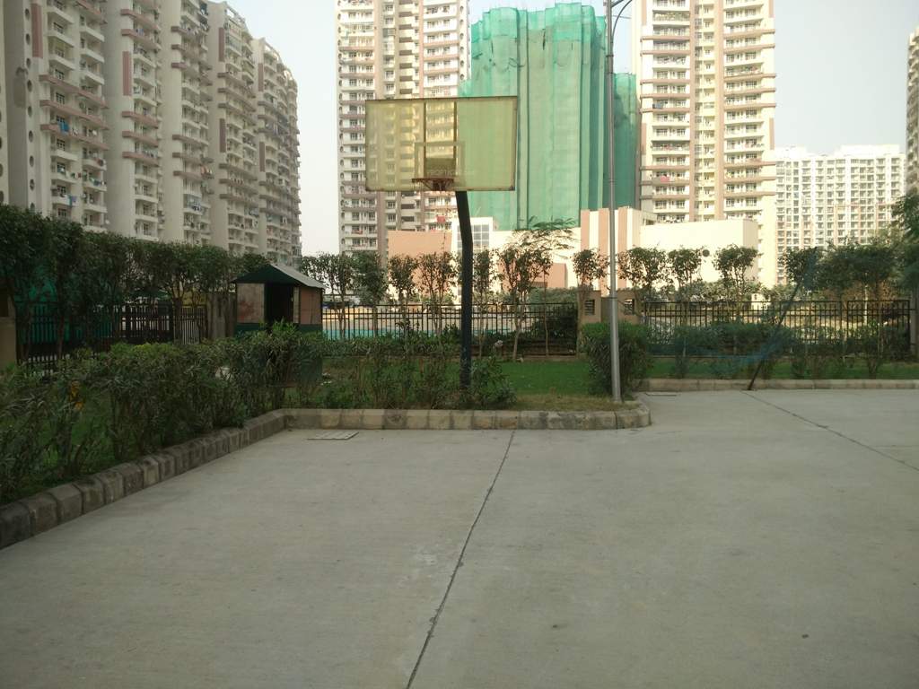 the nest Basketball Court