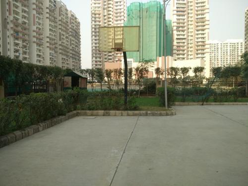 Basketball Court the-nest Basketball Court