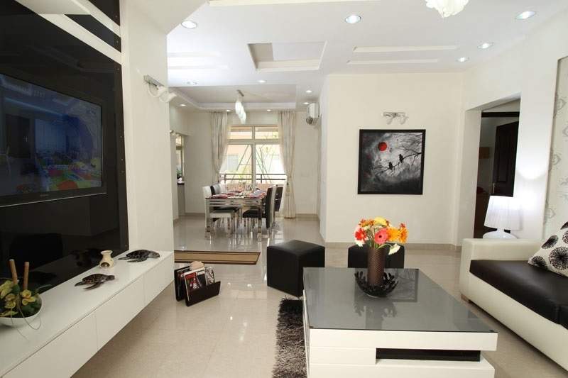 the nest Living Area