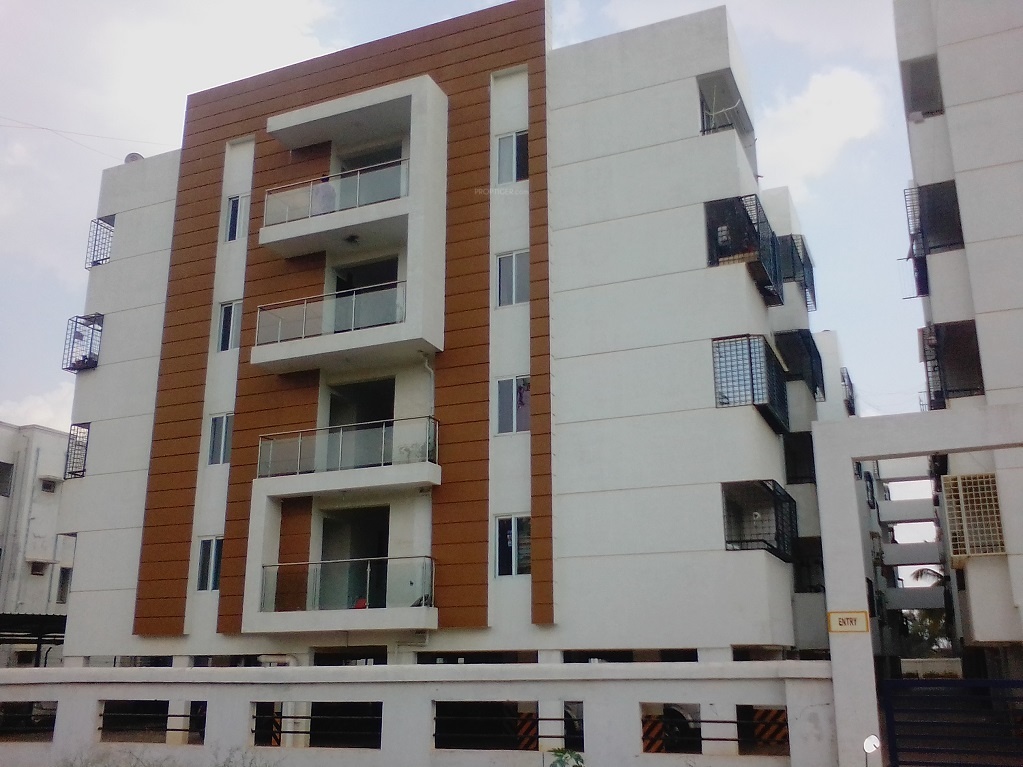  honey pool Elevation