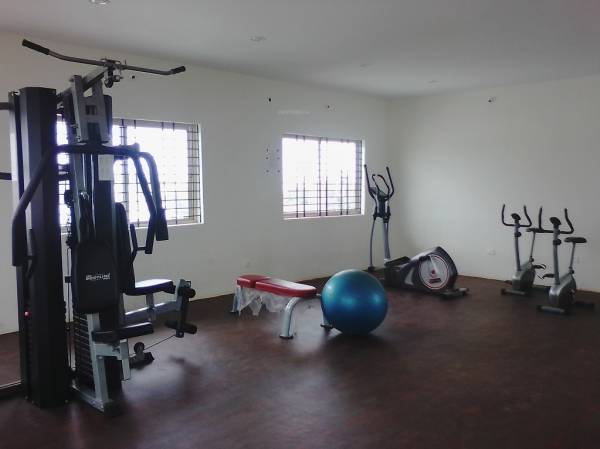  honey-pool Gymnasium