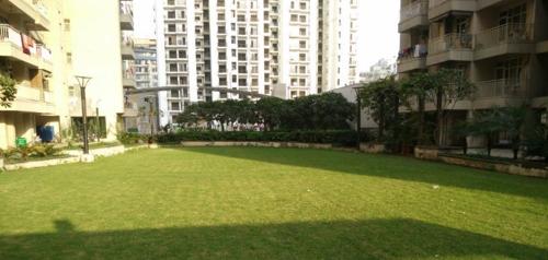  elegance Landscape Garden and Tree Planting