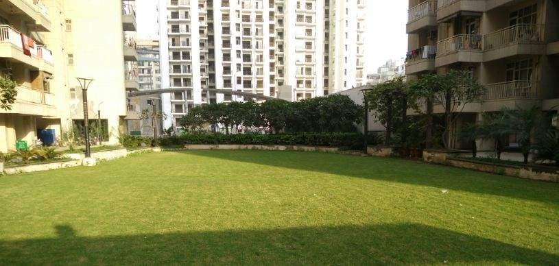  elegance Landscape Garden and Tree Planting