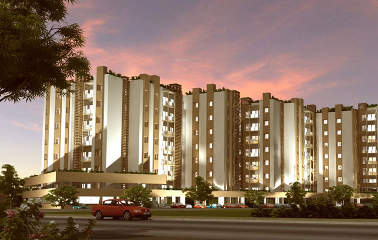  hamsa Images for Elevation of Arya Hamsa