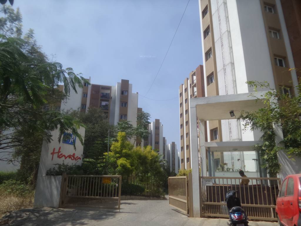  hamsa Images for Project