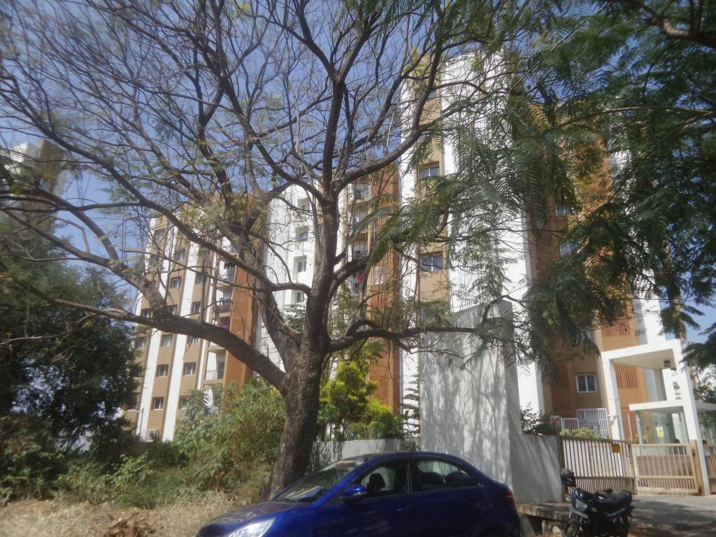  hamsa Images for Project