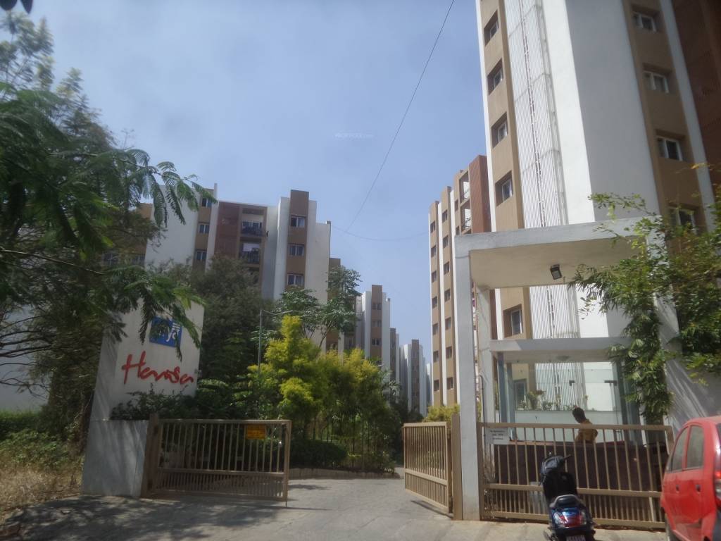  hamsa Images for Project