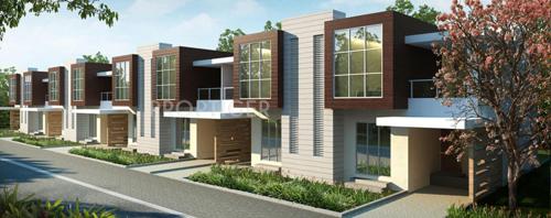  ivy-villa Images for Elevation of Kolte Patil Ivy Villa