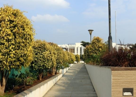  ivy-villa Jogging Track