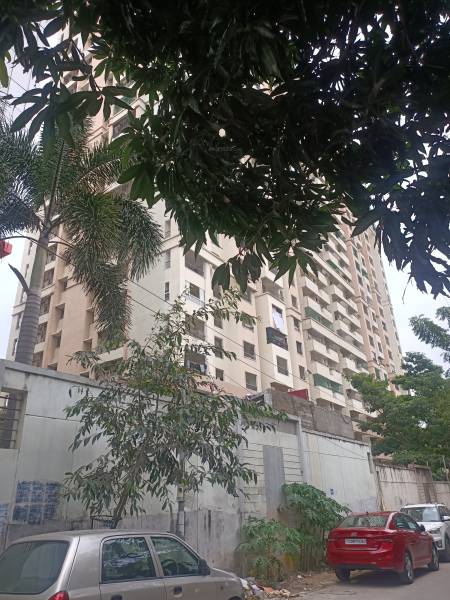 Elevation majestic-homes Elevation