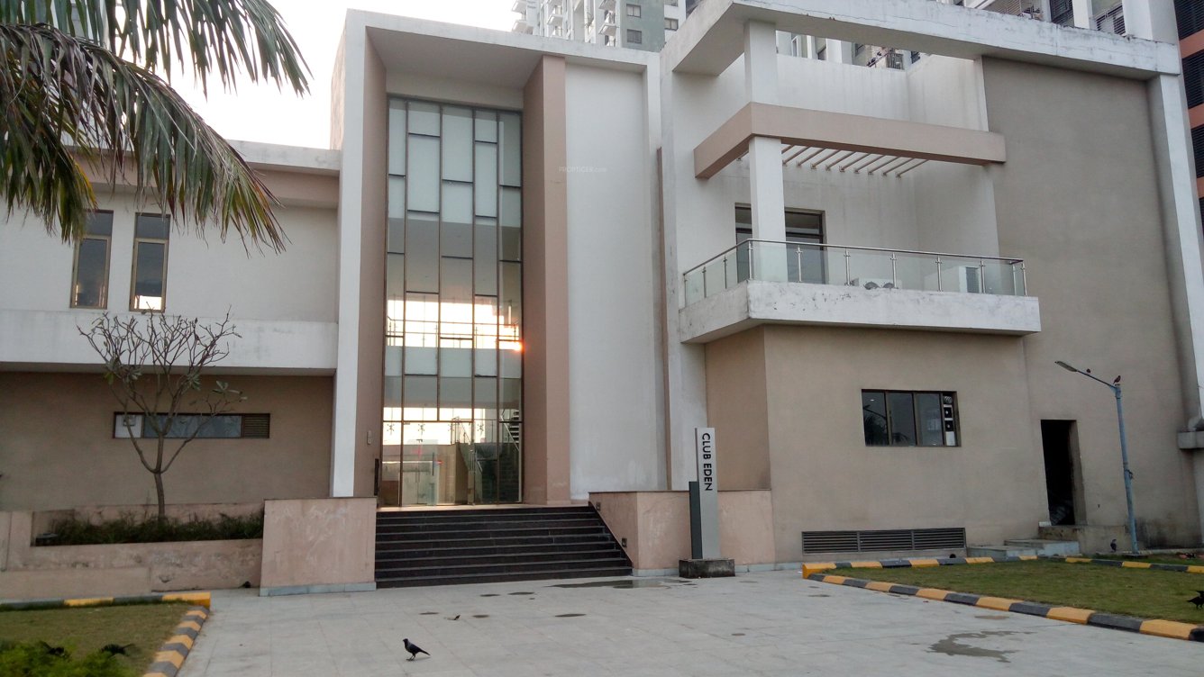  eden court primo Others