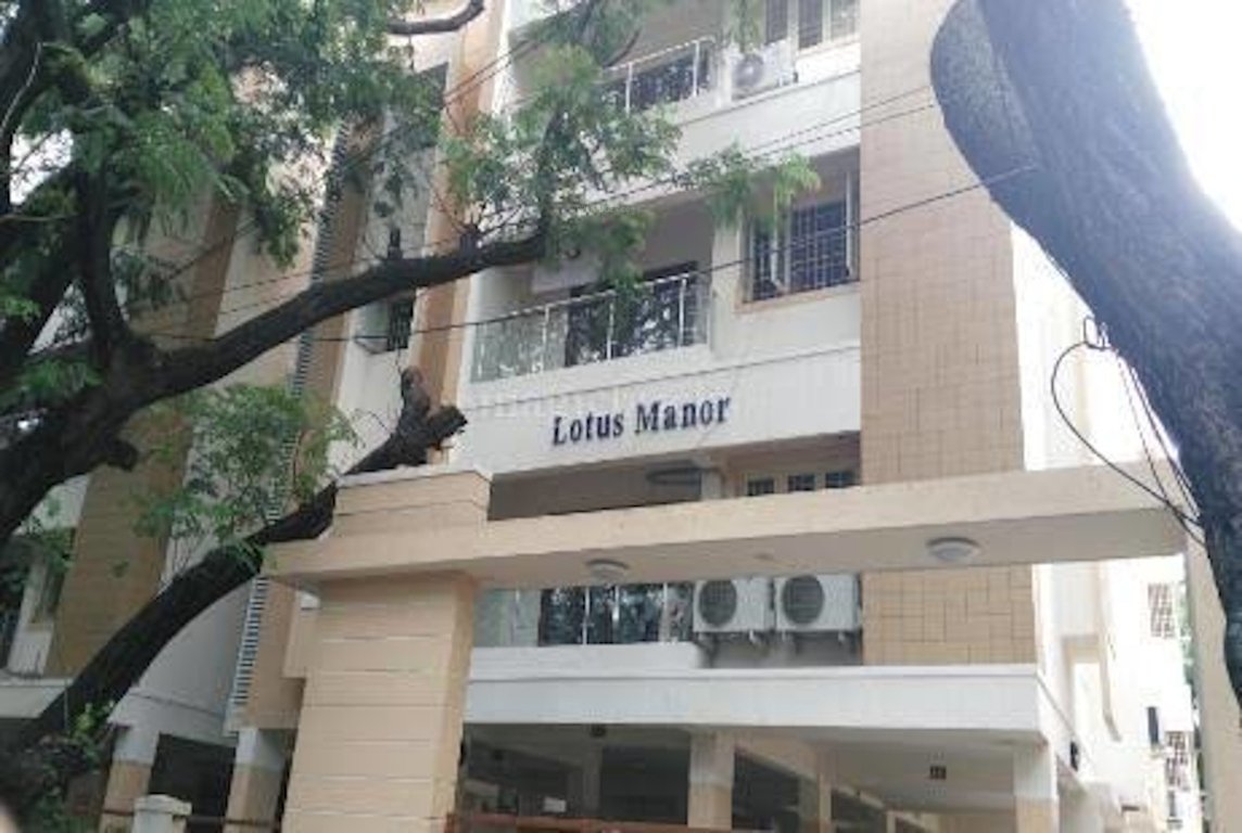  lotus manor Elevation