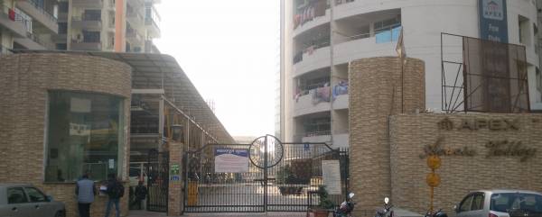  acacia-valley Elevation