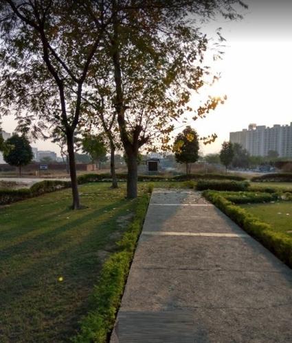  aquapolis Landscape Garden and Tree Planting