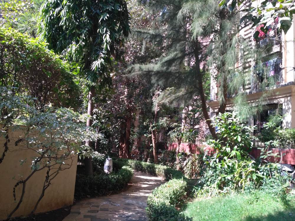  highland Jogging Track