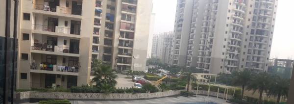 Children's play area integrity Children's play area