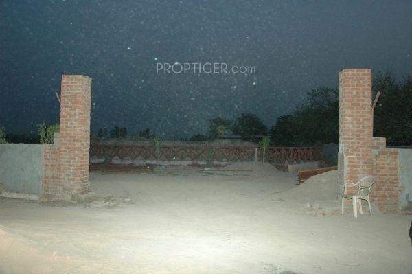 Images for Main Other of AJS Gladiola Farms Images for Main Other of AJS Gladiola Farms