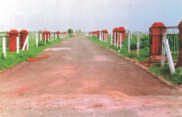 Images for Main Other of AJS Gladiola Farms Images for Main Other of AJS Gladiola Farms