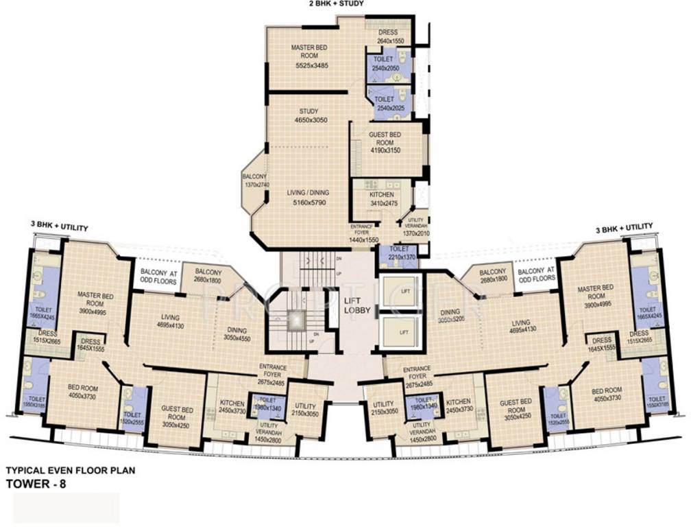 Images for Cluster Plan of Jaypee The Star Court