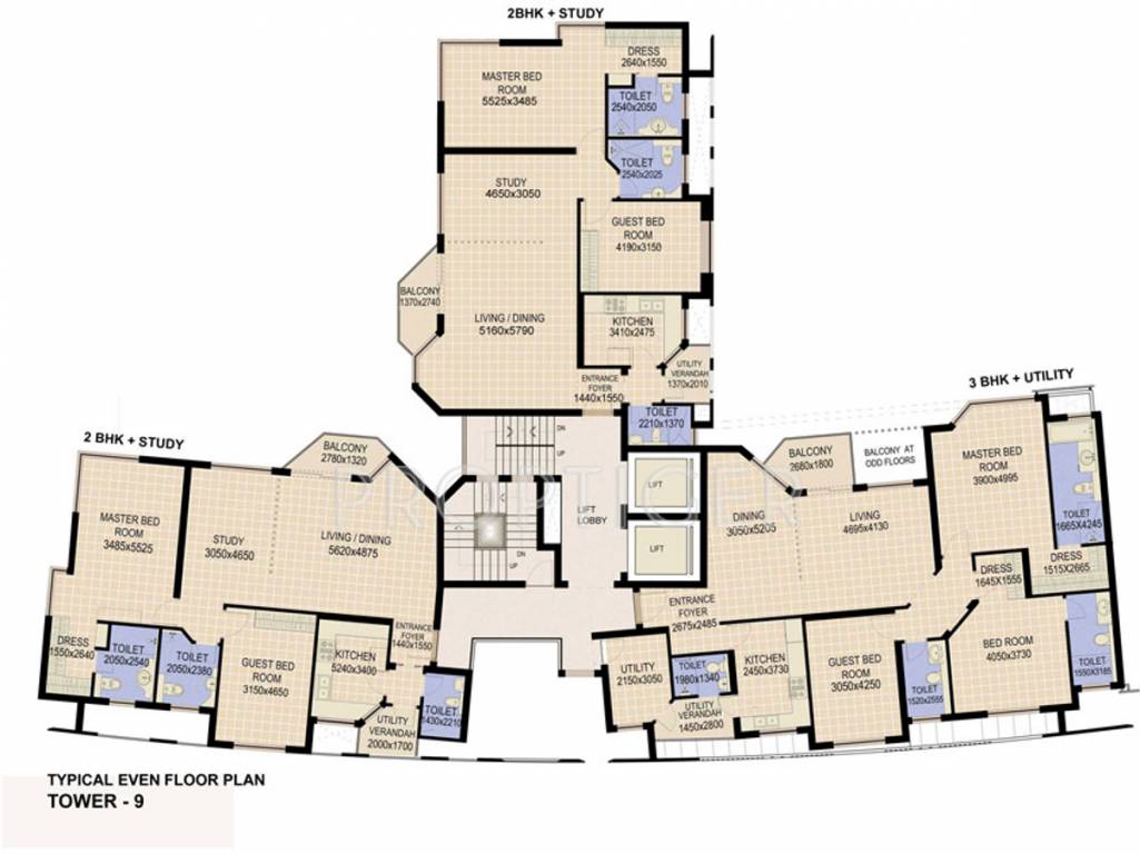 Images for Cluster Plan of Jaypee The Star Court