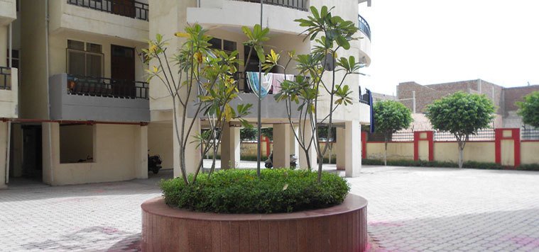  elegance Paved Compound