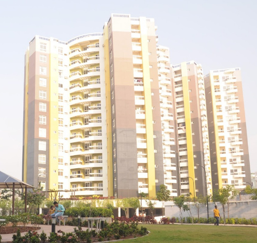  the belvedere Elevation