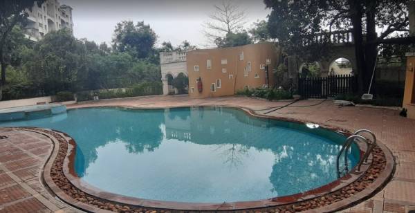 Swimming Pool meadows Swimming Pool