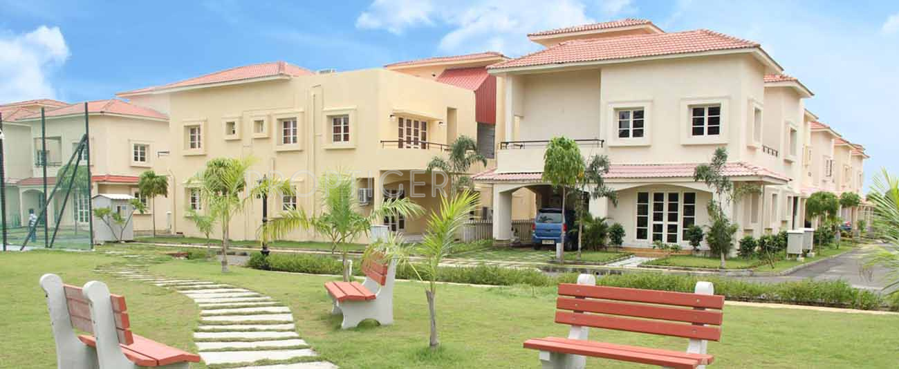 Images for Elevation of Alliance Bougainvillea