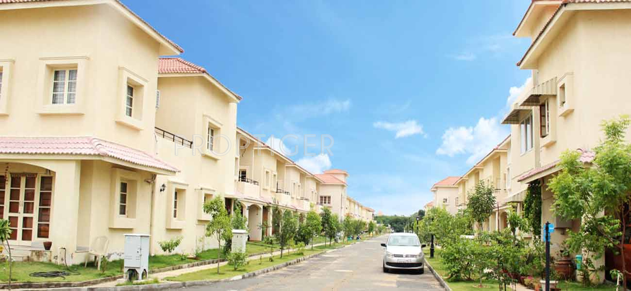 Images for Elevation of Alliance Bougainvillea