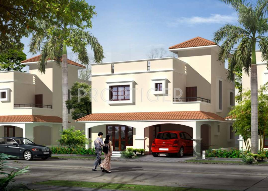 Images for Elevation of Alliance Bougainvillea