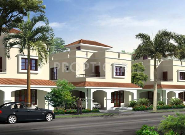 Images for Elevation of Alliance Bougainvillea