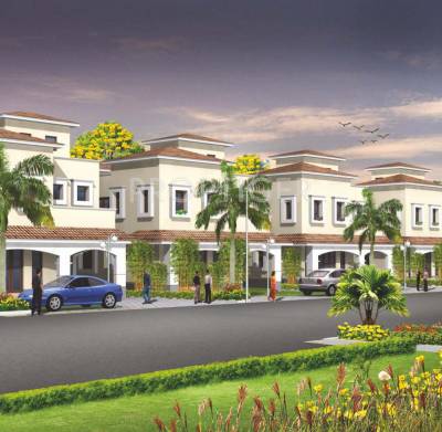 Images for Elevation of Alliance Bougainvillea