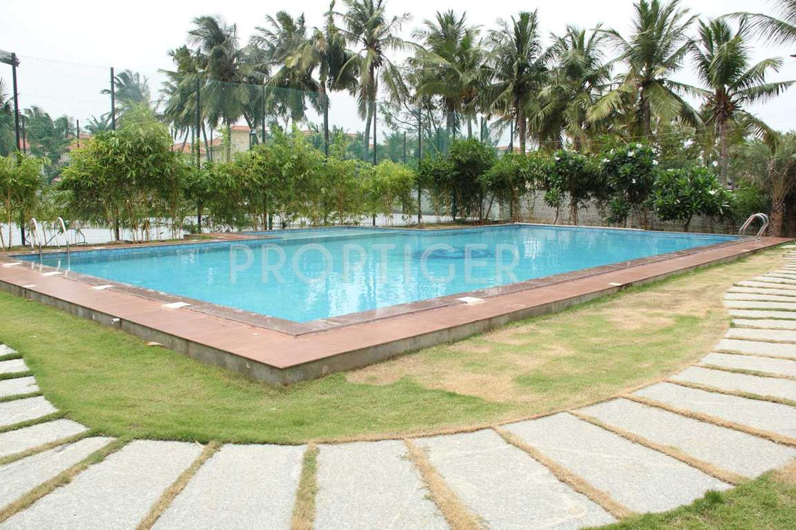 Images for Amenities of Alliance Bougainvillea