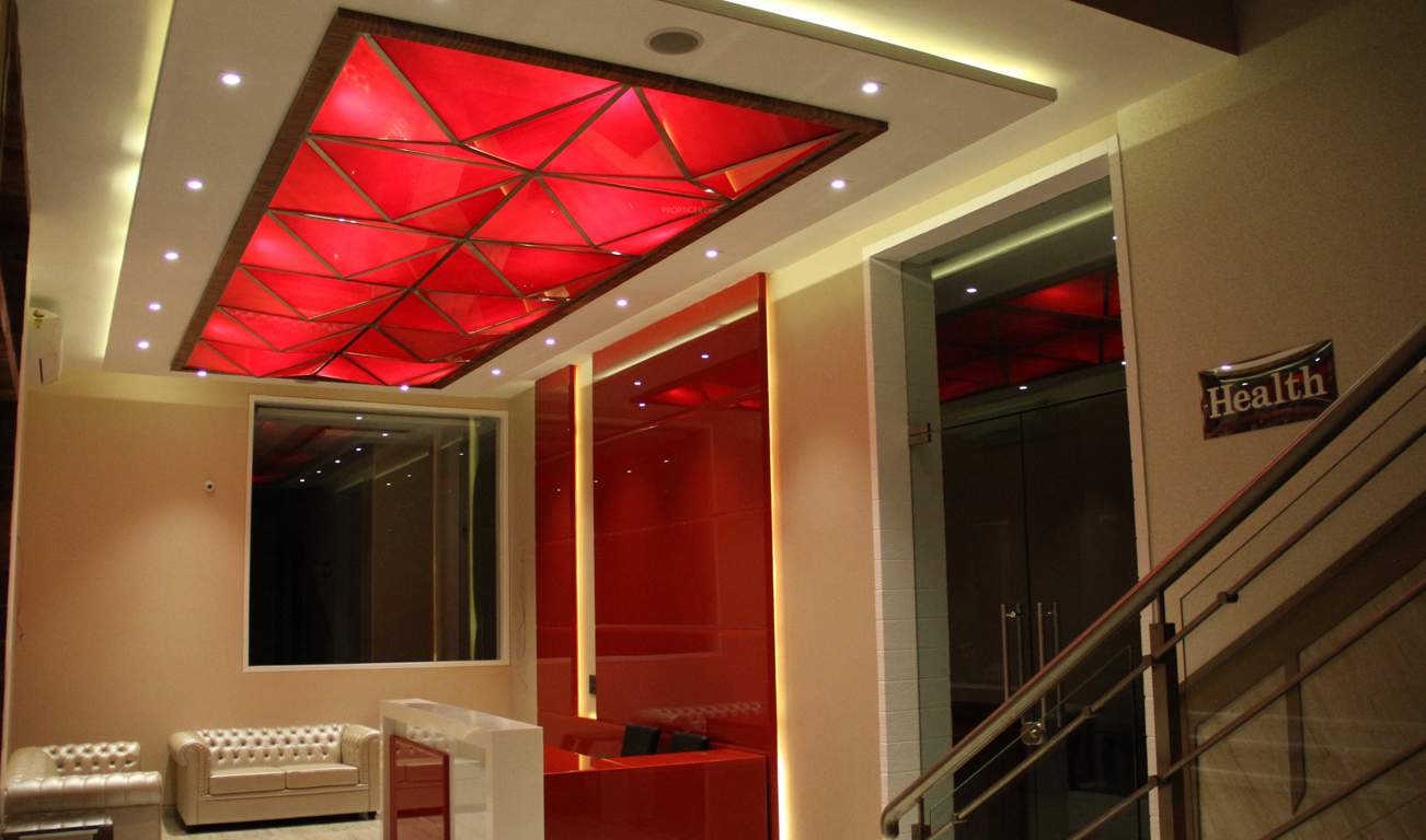  palms Images for Main Other of Mohan Palms