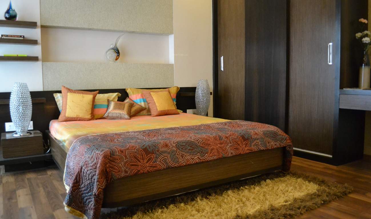  palms Images for Main Other of Mohan Palms