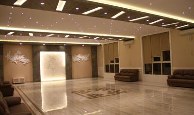 Images for Main Other of Mohan Palms palms Images for Main Other of Mohan Palms