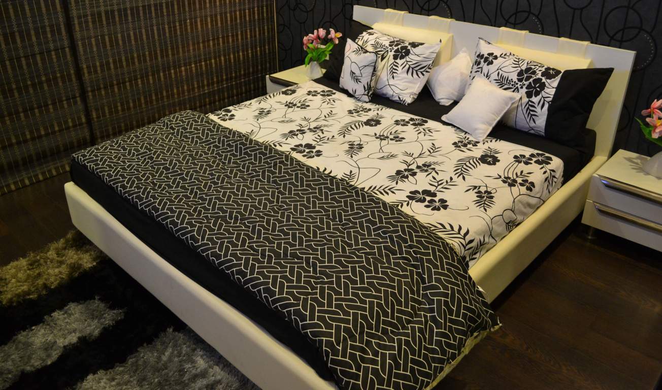  palms Images for Main Other of Mohan Palms