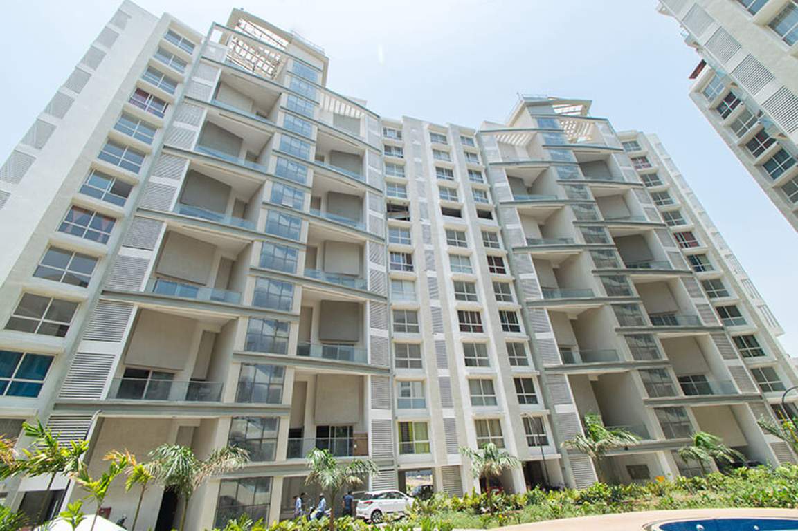  citrine Images for Elevation of Marvel Citrine