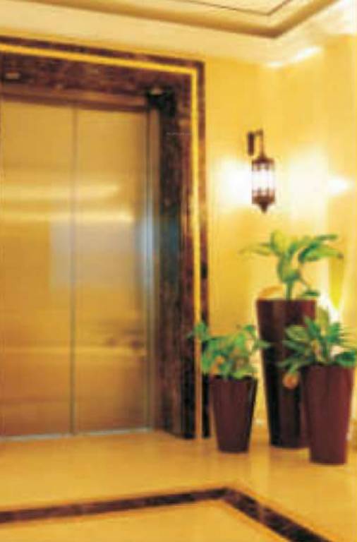  citrine Images for mainOther