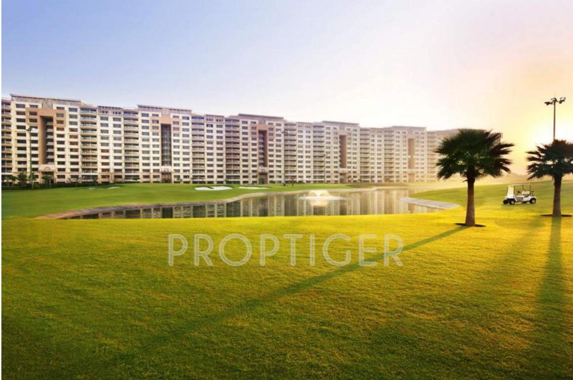 caitriona Images for Elevation of Ambience Caitriona