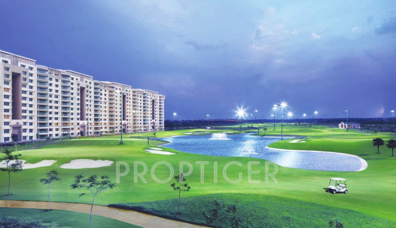 caitriona Images for Elevation of Ambience Caitriona