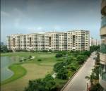  caitriona Images for Project